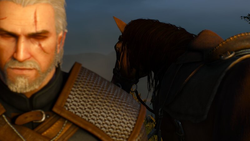 Geralt of Rivia with Horse