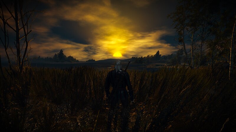 Geralt of Rivia — Yellow, Dramatic, Sunset, 3d Render, Grass