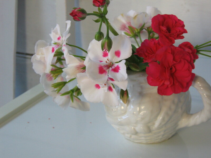 Geraniums in a Vase
