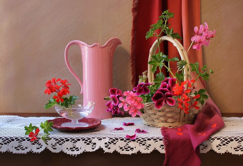 Geraniums in Basket