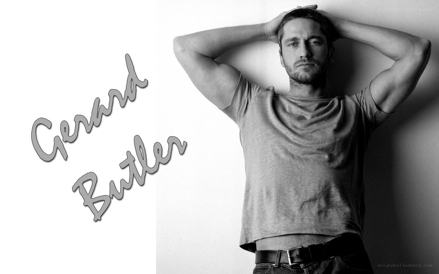 Gerard Butler portrait