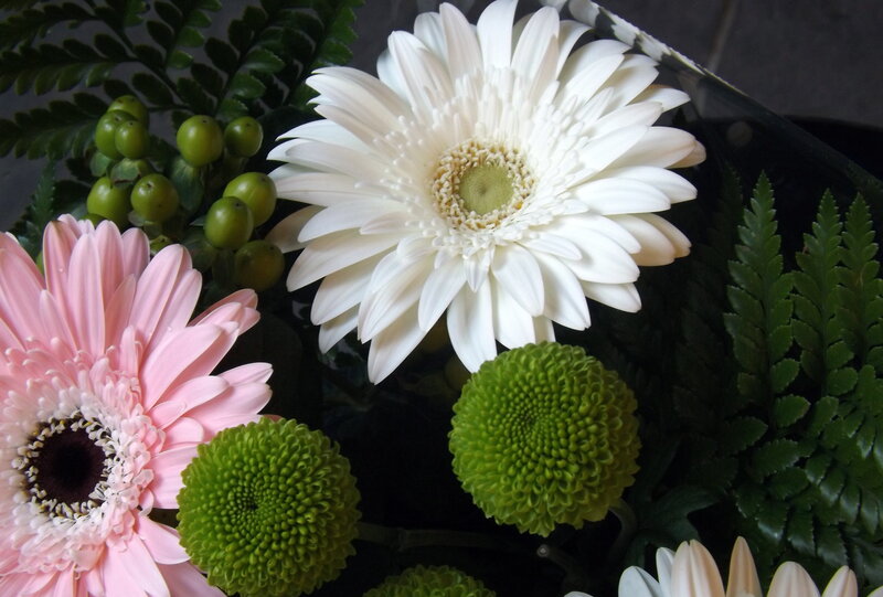 Gerbera Daisies and Greenery