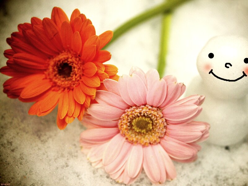 Gerbera Daisies and Snowman
