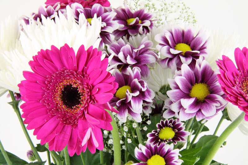 Gerbera Daisies Bouquet