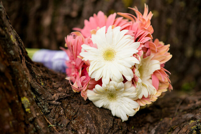 Gerbera Daisies Bouquet — White