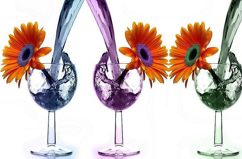 Gerbera Daisies in Glasses