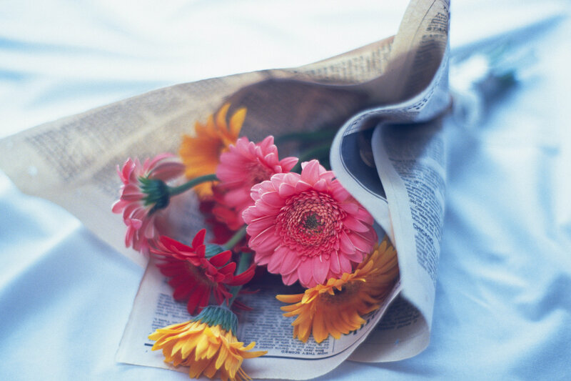 Gerbera Daisies in Newspaper