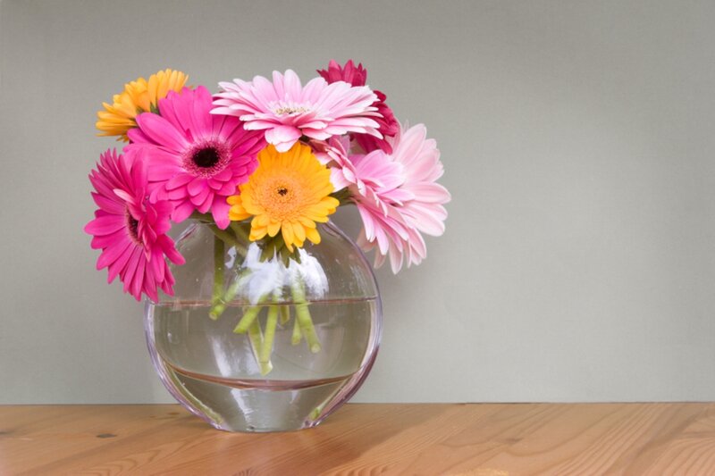 Gerbera Daisies in Vase — Pink, Calm, Photograph, Table