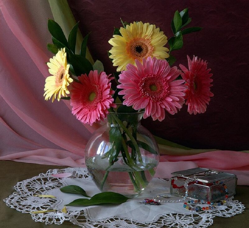 Gerbera Daisies in Vase — Pink