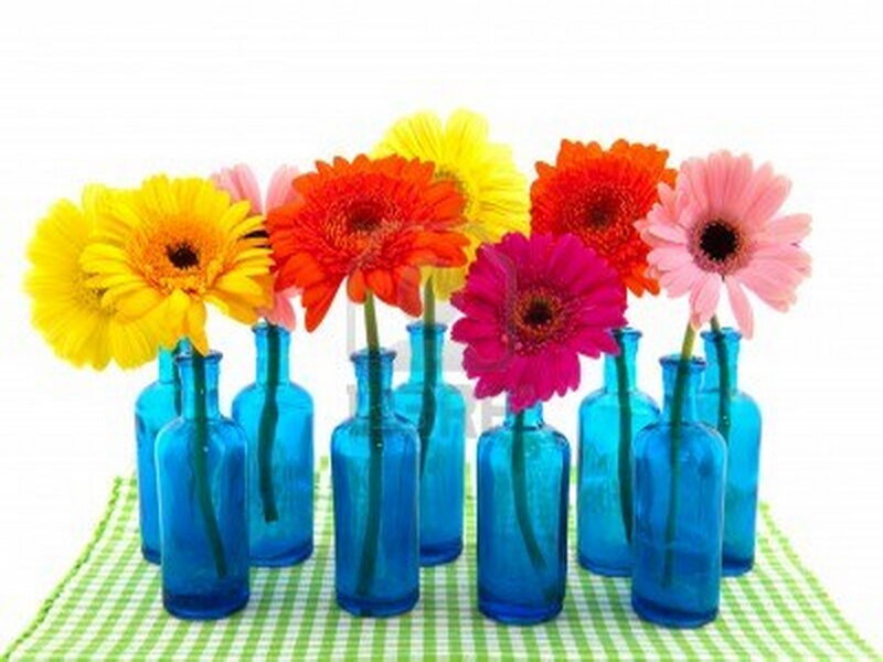 Gerbera Daisies in Vases — Blue, Bright