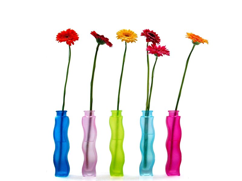 Gerbera Daisies in Vases — Blue