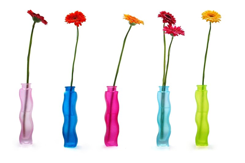 Gerbera Daisies in Vases — Pink