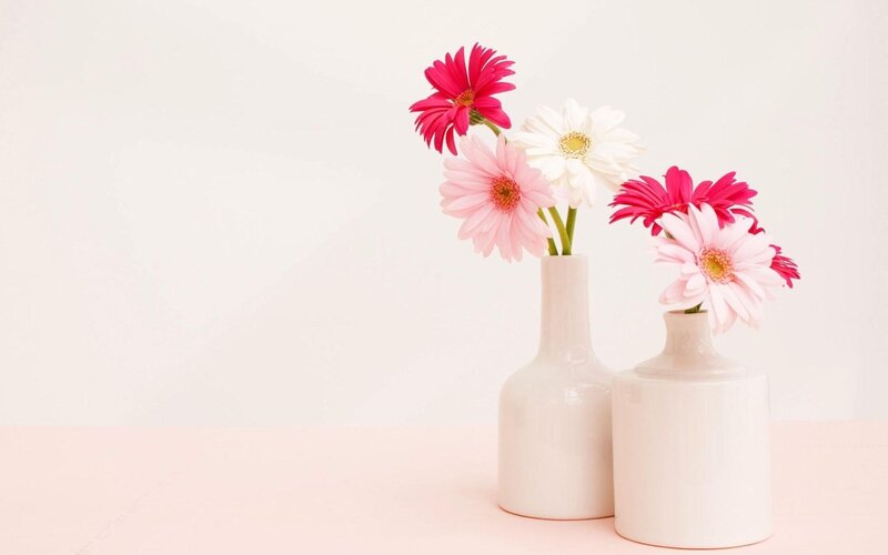 Gerbera Daisies in Vases — White
