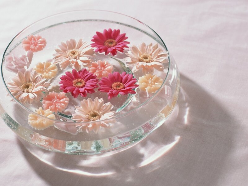 Gerbera Daisies in Water — Pink, Serene, Afternoon