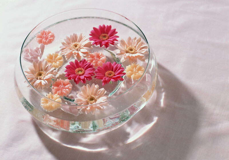 Gerbera Daisies in Water — Pink