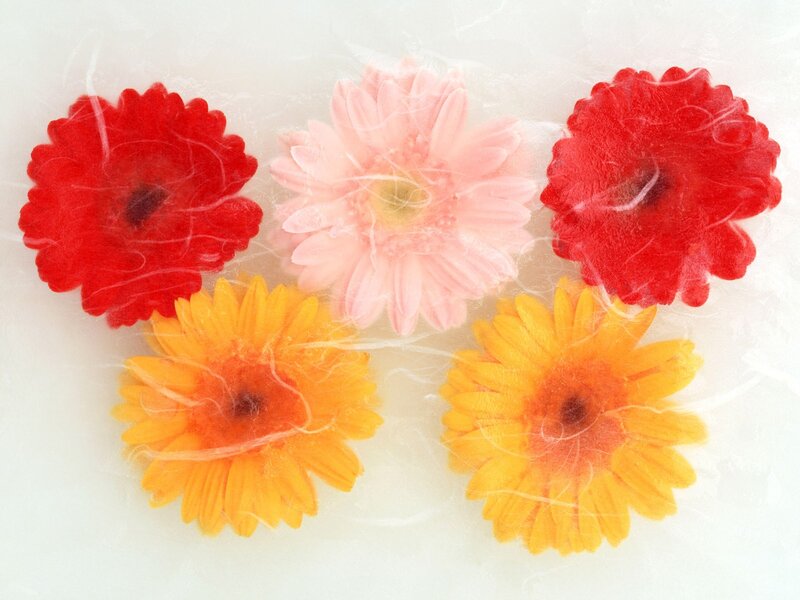 Gerbera Daisies in Water — Red
