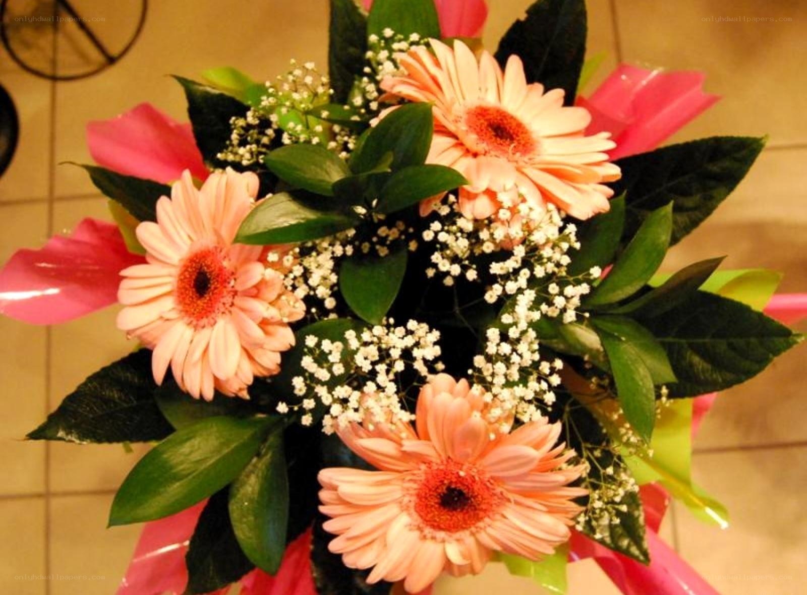 gerbera daisy bouquet