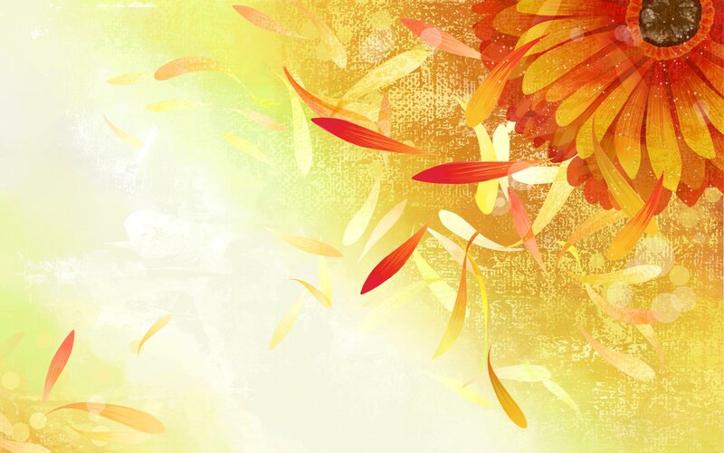 Gerbera Daisy Petals — Yellow