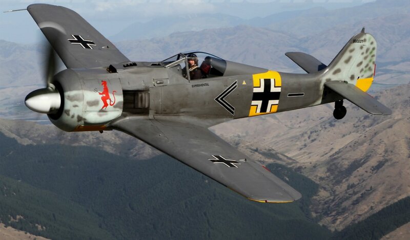 German Fighter Plane — Gray, Dramatic, Afternoon