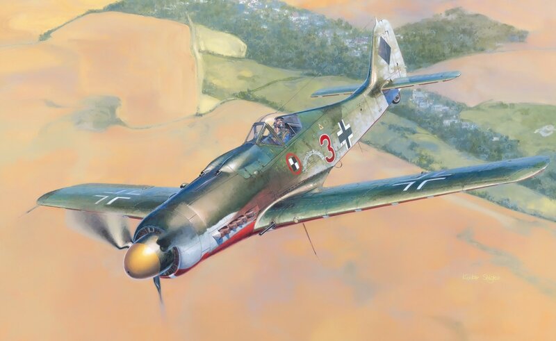 German Fighter Plane — Green, Dramatic, Sunset, Illustration