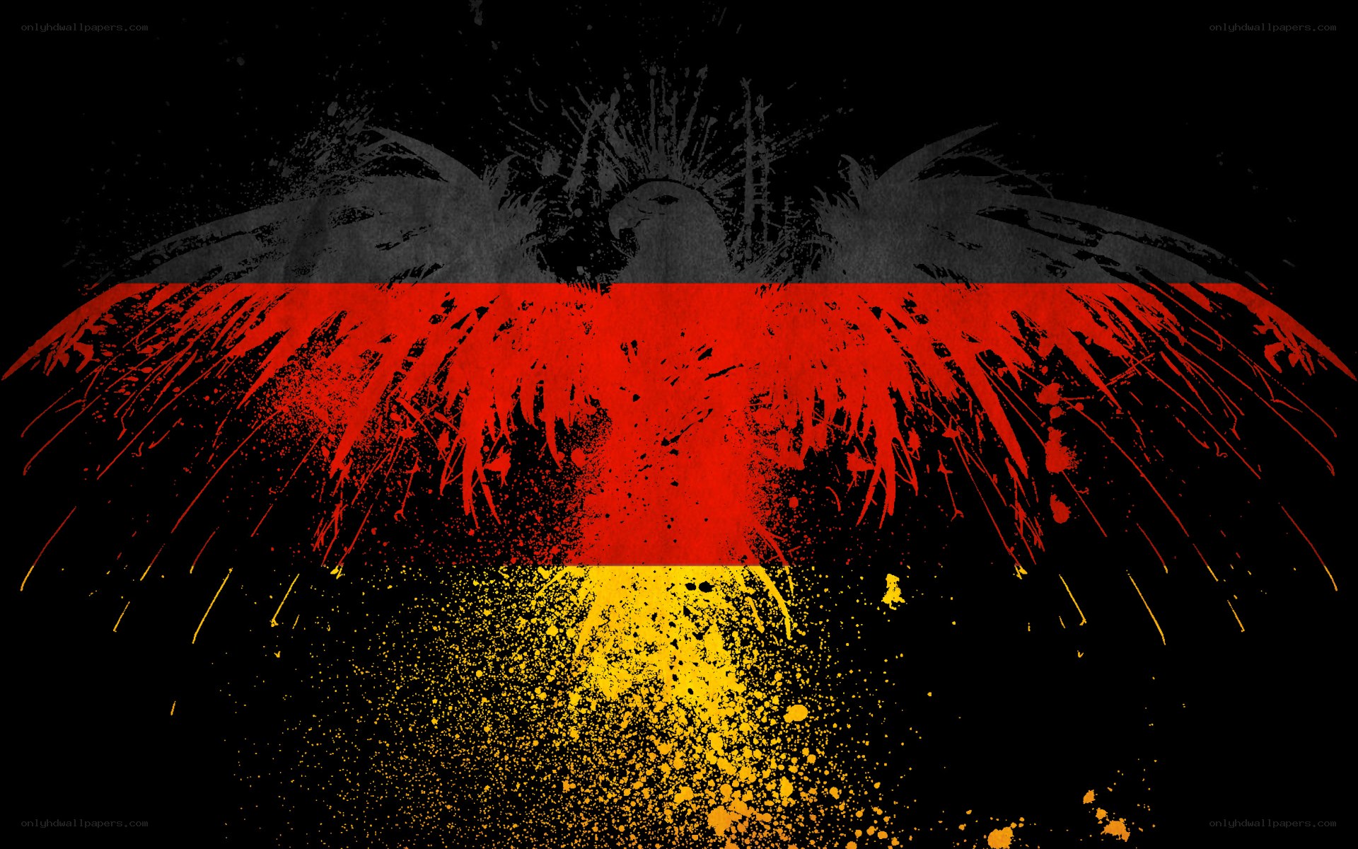 German flag with eagle design