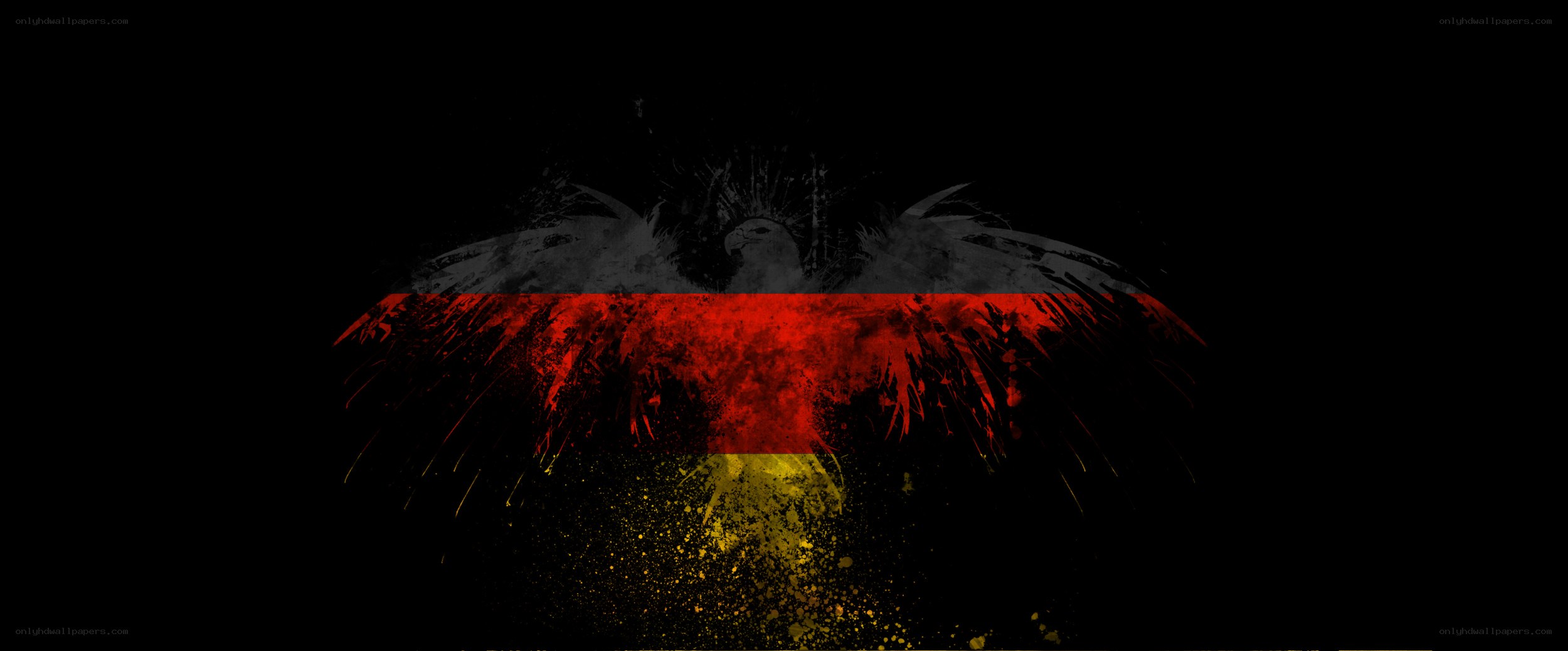 German flag with eagle