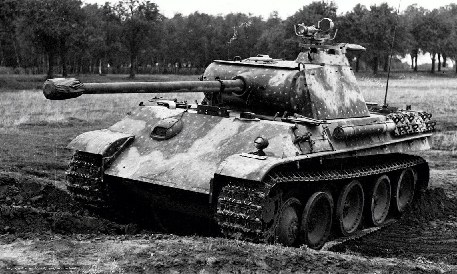 German Panther tank in field