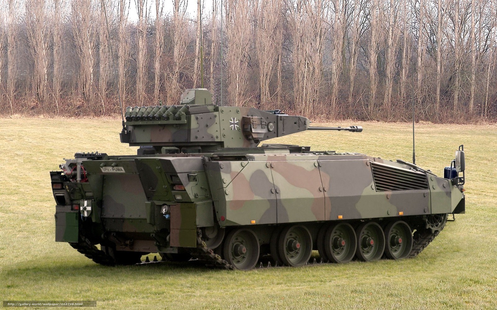 German Puma IFV on display