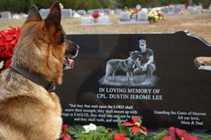 German Shepherd at Grave — Black