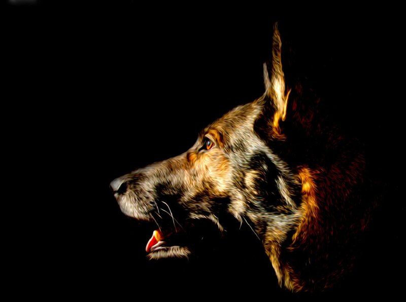German Shepherd Dog — Black, Dramatic, Digital Art