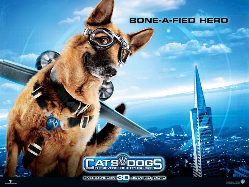 German Shepherd Dog — Blue, Adventurous