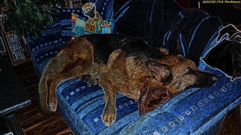 German Shepherd Dog — Blue, Calm, Digital Art
