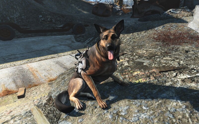 German Shepherd Dog — Brown, Desolate