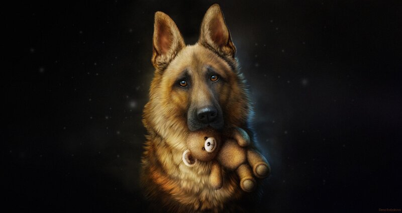 German Shepherd Dog — Brown, Dramatic, Night