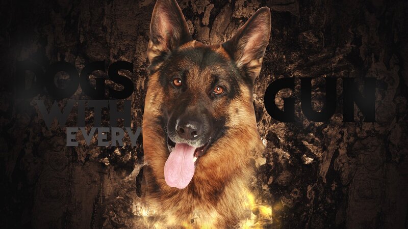 German Shepherd Dog — Brown, Dramatic, Photograph