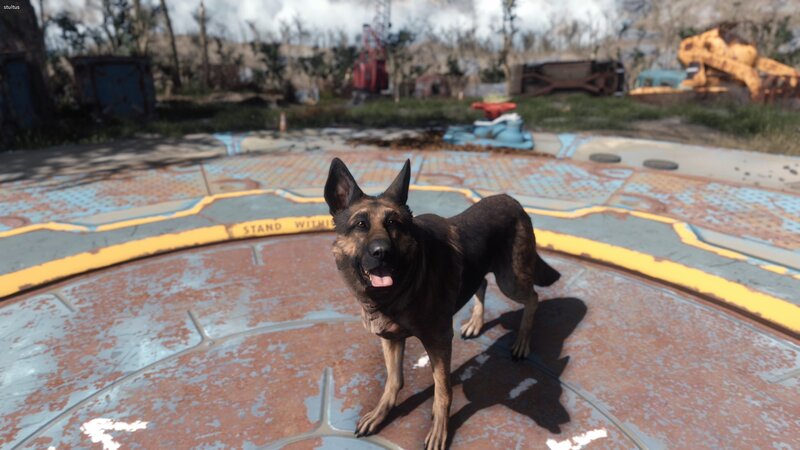 German Shepherd Dog — Brown, Post-apocalyptic