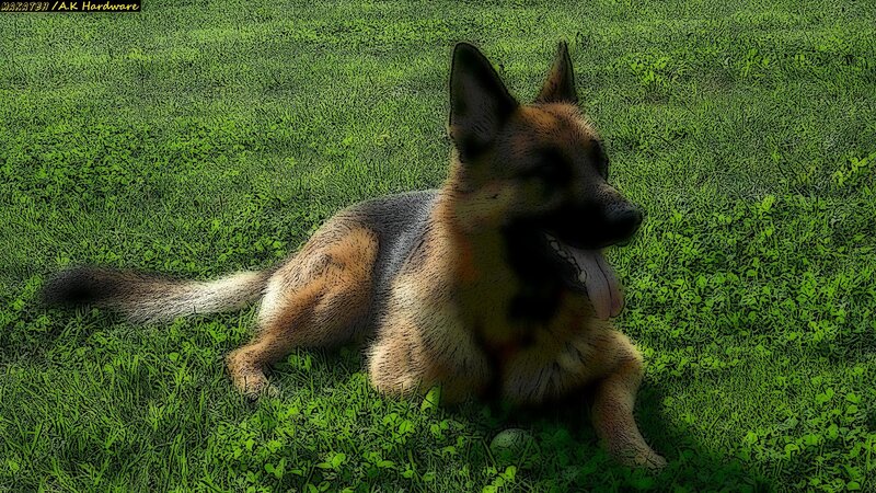 German Shepherd Dog — Green, Calm, Afternoon, Digital Art