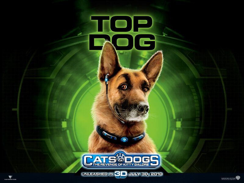 German Shepherd Dog — Green, Dramatic