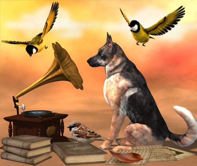 German Shepherd Dog — Orange, Serene, Sunset, Digital Art