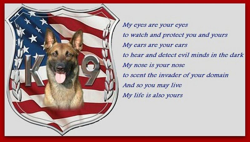 German Shepherd Dog — Red
