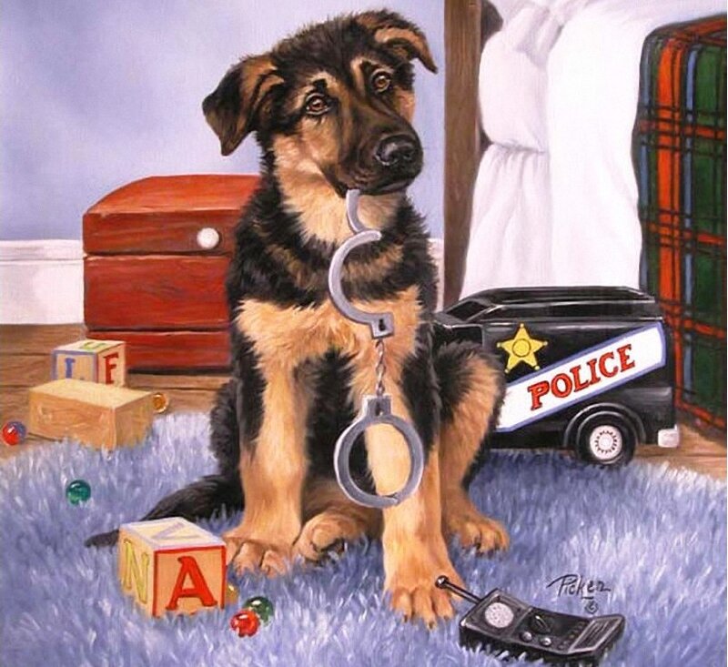 German Shepherd Puppy — Black, Playful