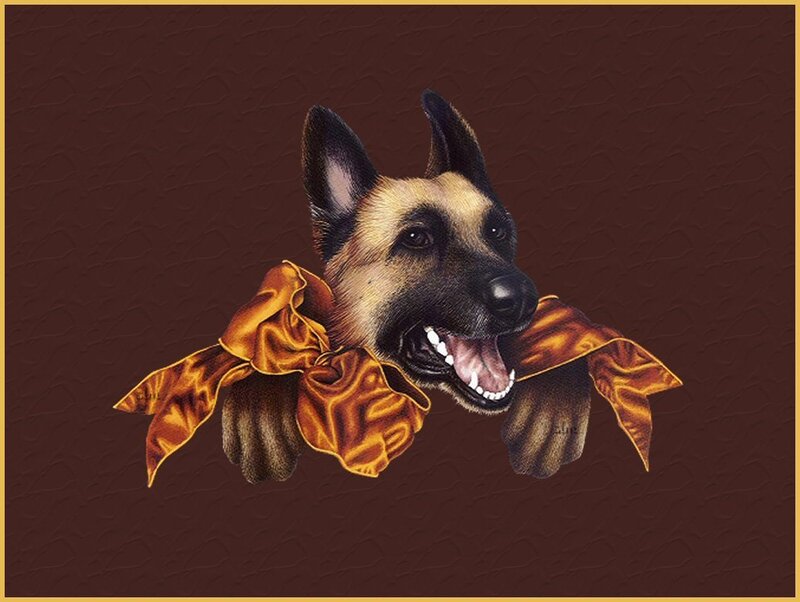 German Shepherd with Bow