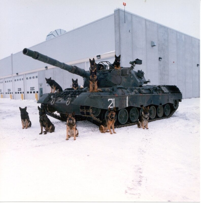 German Shepherds with Tank