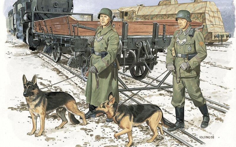 German Soldiers with Dogs