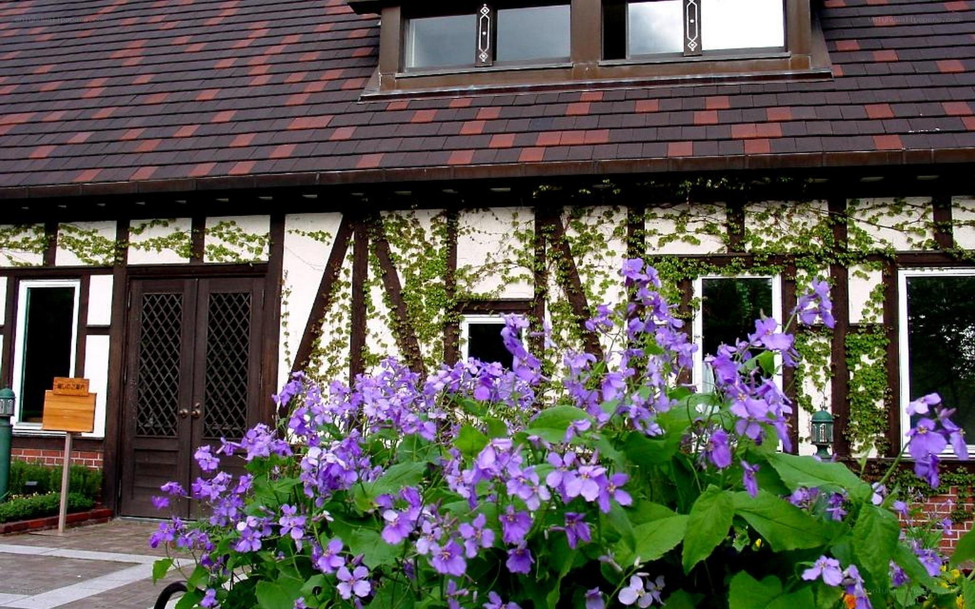 German-style house with purple flowers