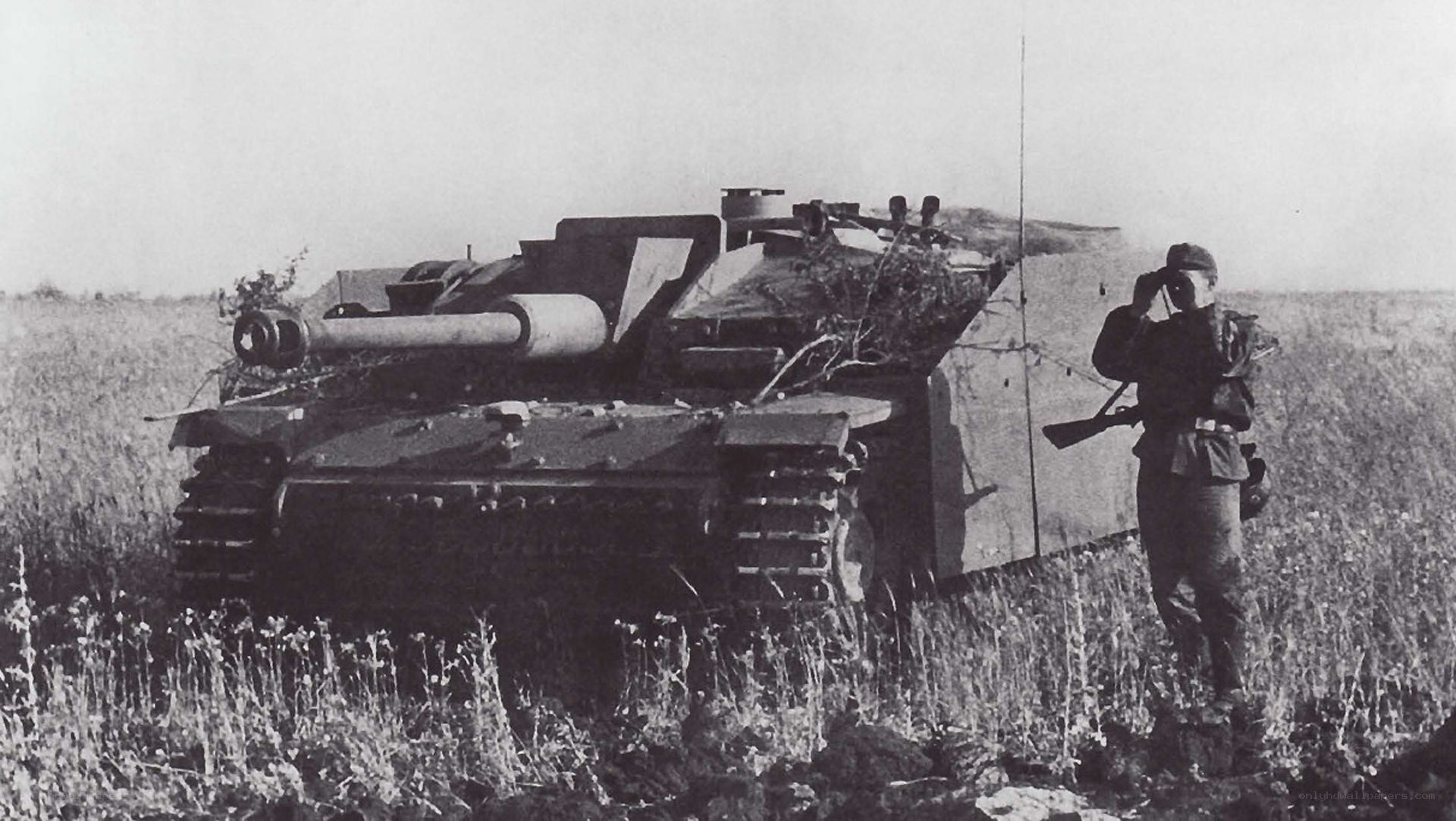 German tank in a field
