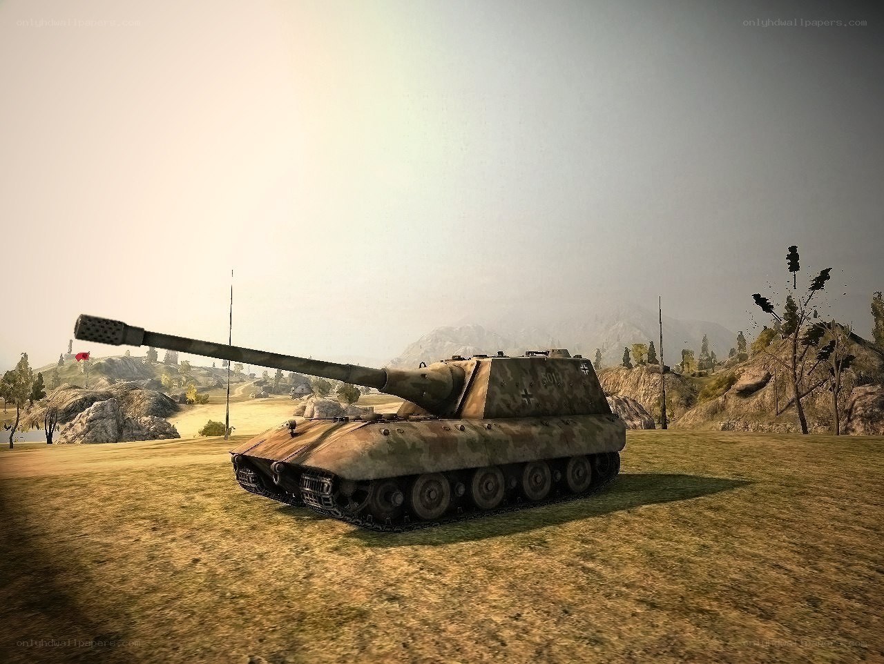 German tank in a field