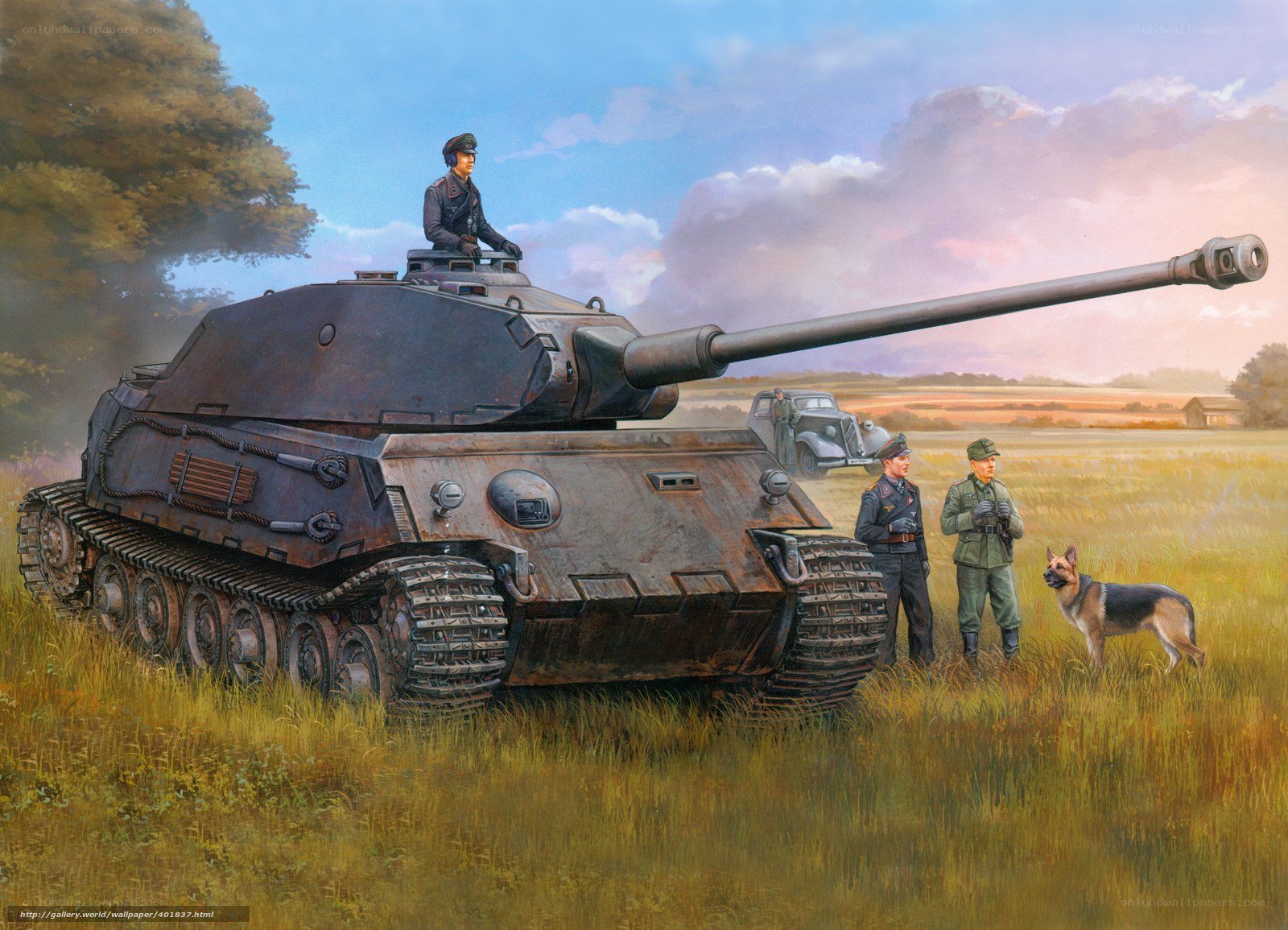 German tank in a field