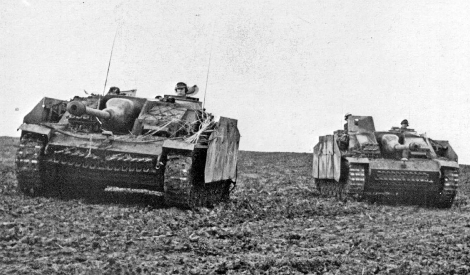 German tanks in field
