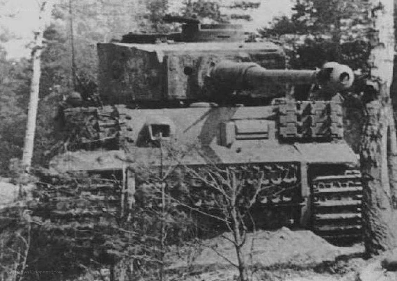 German Tiger tank in forest